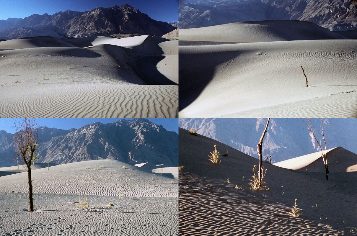 21 Sand Dunes Near Skardu